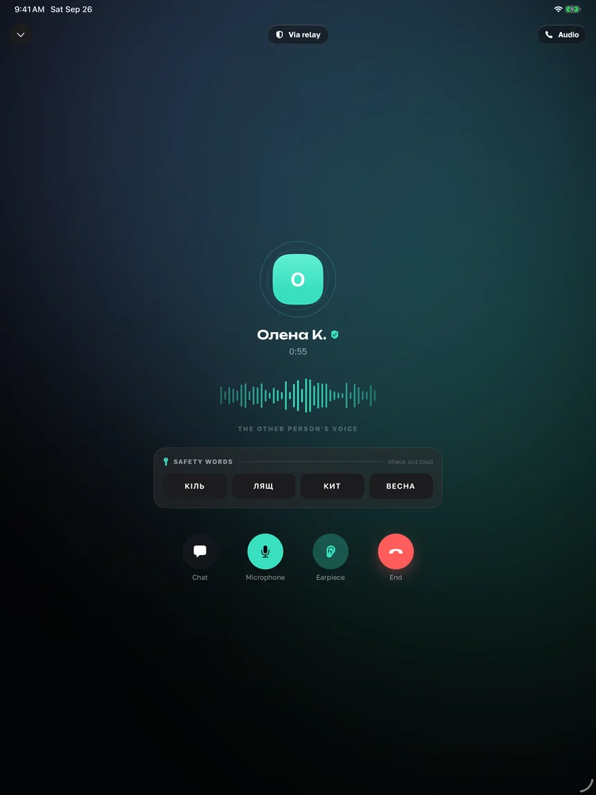 The call screen on iPad