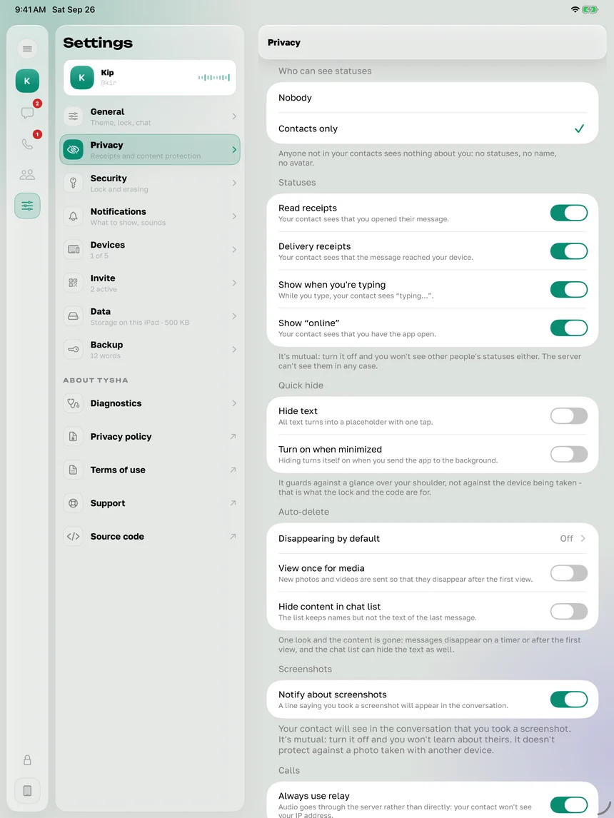 Tysha settings on iPad